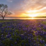 Mickey Shannon Fine Art Photography