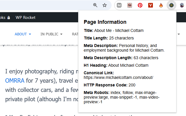 Screenshot of SEO page meta data extractor