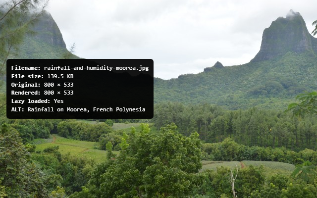 Floating image inspector popup window